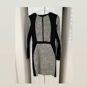 WBG by Walter Baker bodycon black and ivory dress